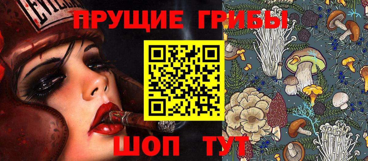 Галлюциногенные грибы Psilocybine cubensis  Вход с VPN  Темрюк  Галлюциногенные грибы Magic Shrooms 