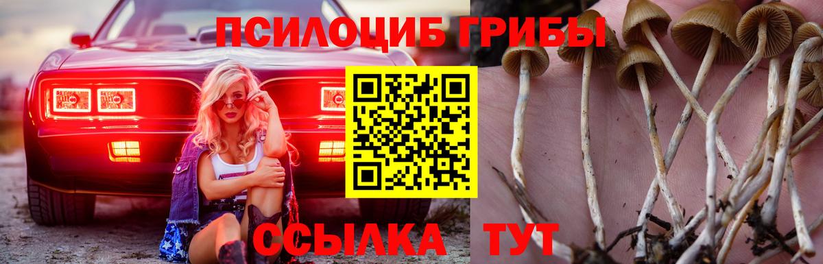 Псилоцибиновые грибы мицелий Темрюк